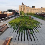 High Line a New York particolare