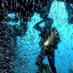 Diving Tortola