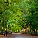 central_park_NYC