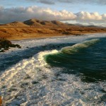 Fuerteventura-Canarie