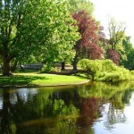 amsterdam vondelpark