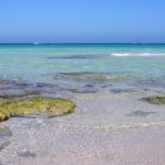 Il mare cristallino di djerba