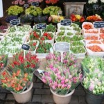 Amsterdam mercato dei fiori