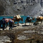 trekking nepal