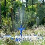 marrakech-jardin-majorelle