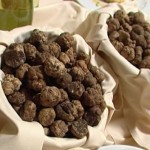 La sagra del tartufo di Pineta