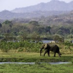 malawi