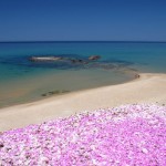 spiaggia ampurias sardegna