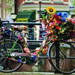 bici