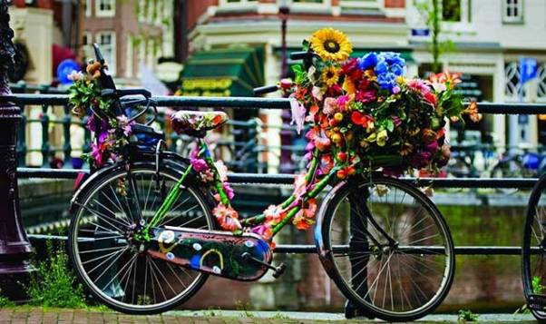 Tour di Van Gogh in bici