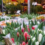 mercato-fiori-amsterdam