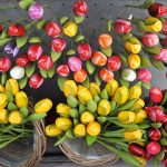tulipani-legno-amsterdam