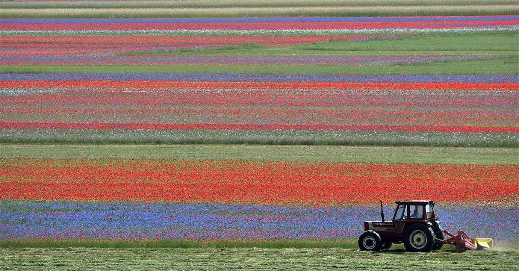 Nell'elenco dei migliori borghi Italia Castelluccio di Norcia