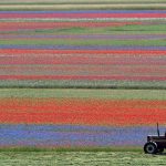 castelluccio-di-norcia-borghi-italia