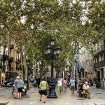el-born-barcellona (1)
