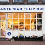 tulip-museum