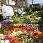 Columbia Road Flower Market